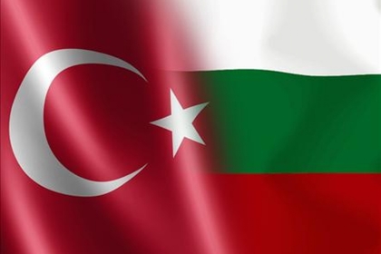 Working visit of Kristian Vigenin to Turkey